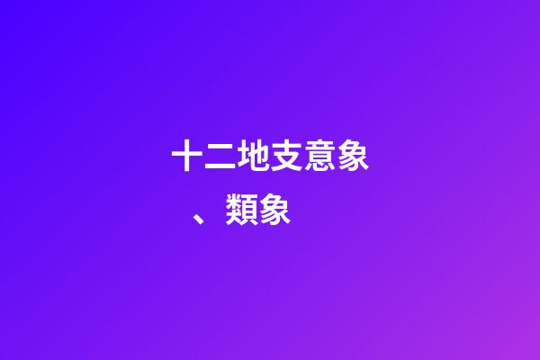 十二地支意象、類象